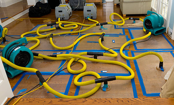 Professional Burst Pipe Water Damage technician working in Florence, OR